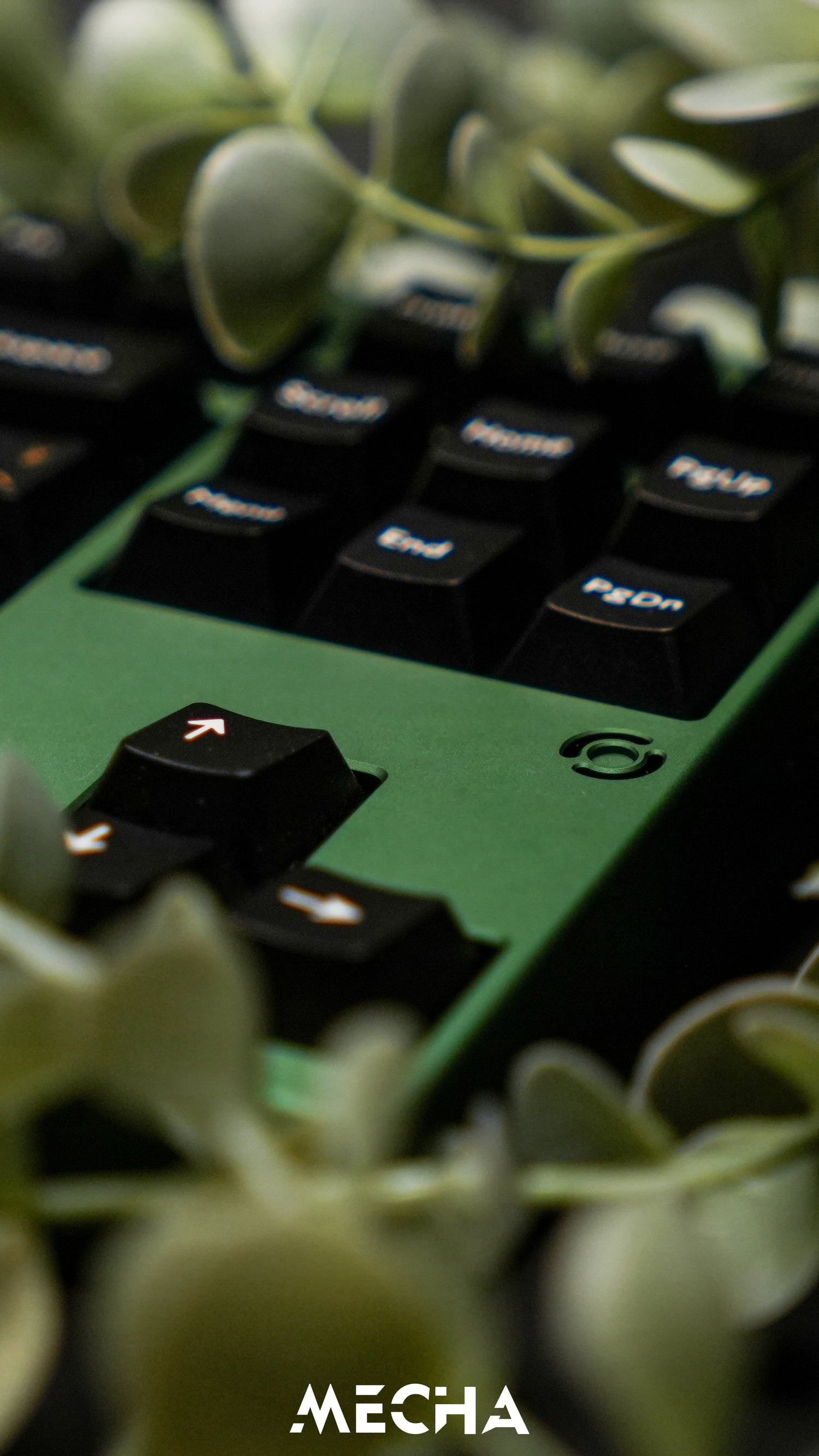 Mecha Malaysia - Custom Mechanical Keyboards