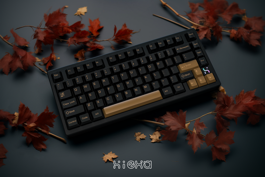 Hiexa V75 75% Mechanical Keyboard - Mirror PVD Weight