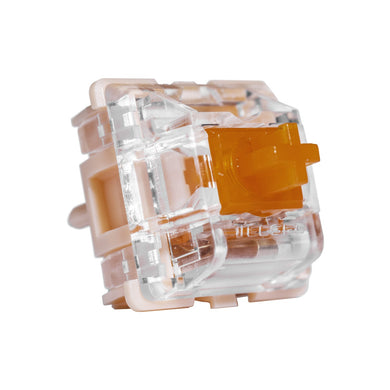 TECSEE Coral Tactile Switches