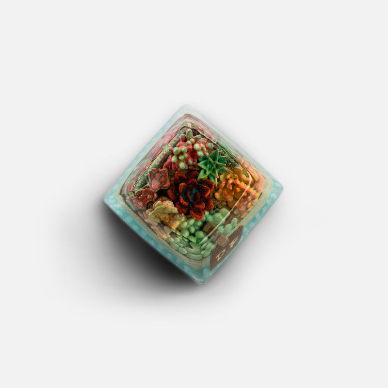 Load image into Gallery viewer, Dwarf Factory - Terrarium - SA R1 Profile Artisans
